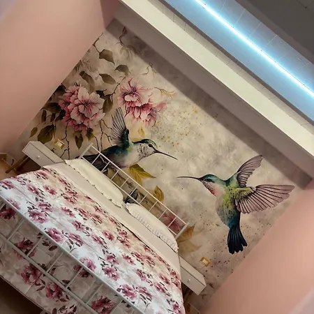 Apartman Aurora House *